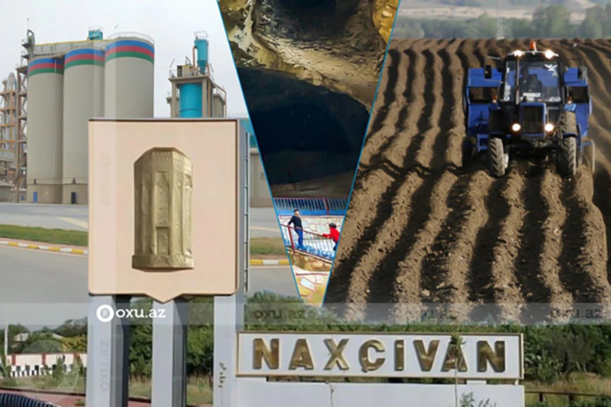 Naxçıvanda çox gəlirli biznes sahələri gözləmədə: “Talıbov xofunun ləğvi, sahibkar azadlığı, sərhəd biznesi” - FOTO