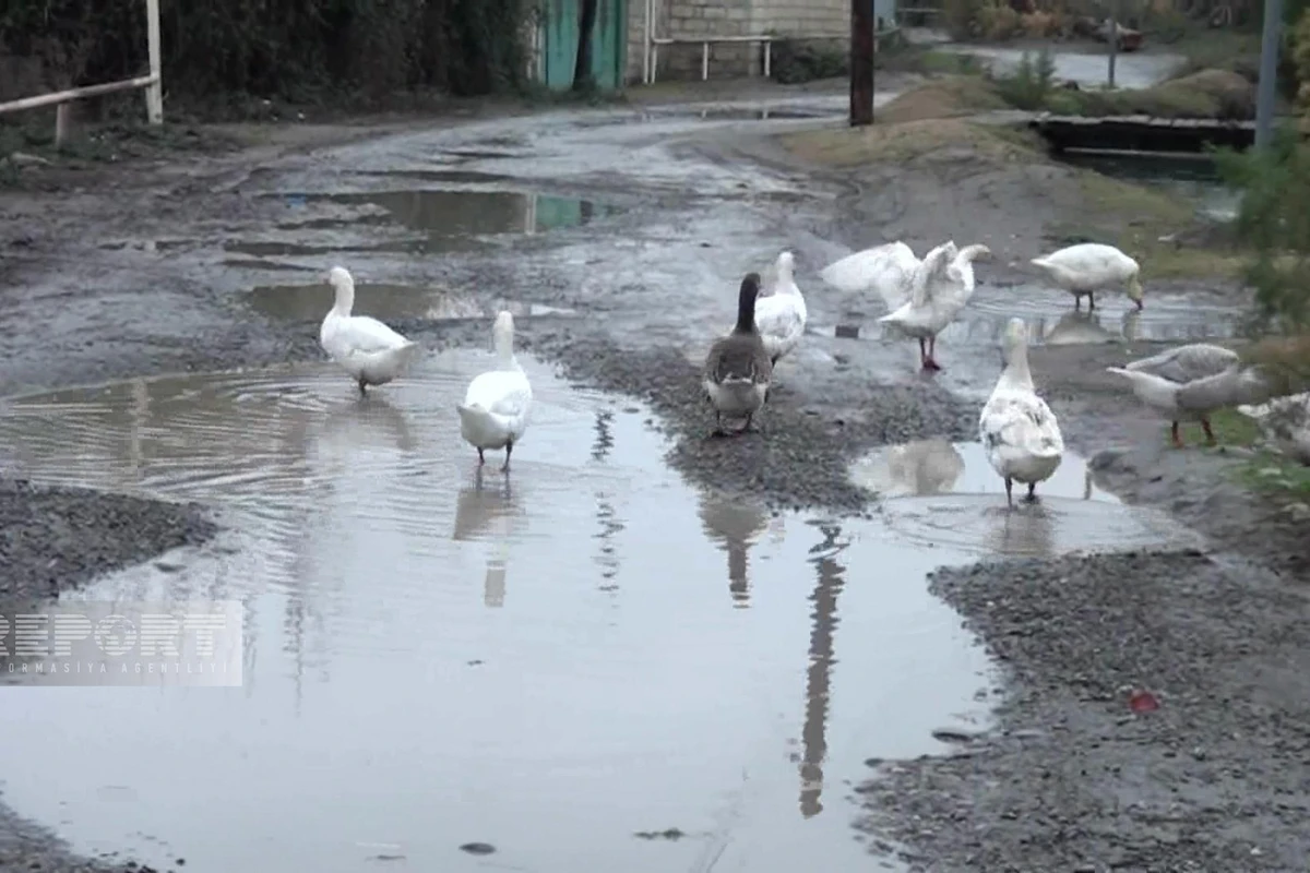 Ucarın acınacaqlı vəziyyətdə olan yolları - FOTO