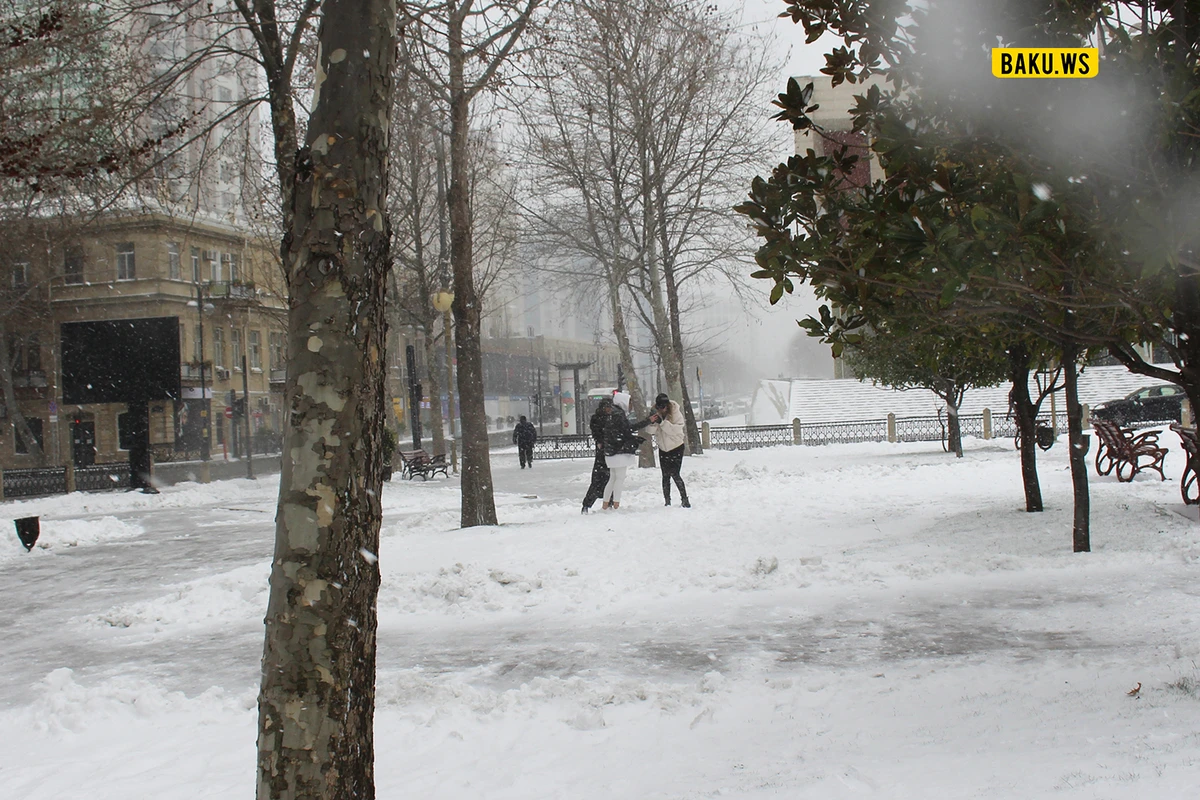 Havanın temperaturu 12 dərəcə düşəcək, Bakıya qar yağacaq - XƏBƏRDARLIQ