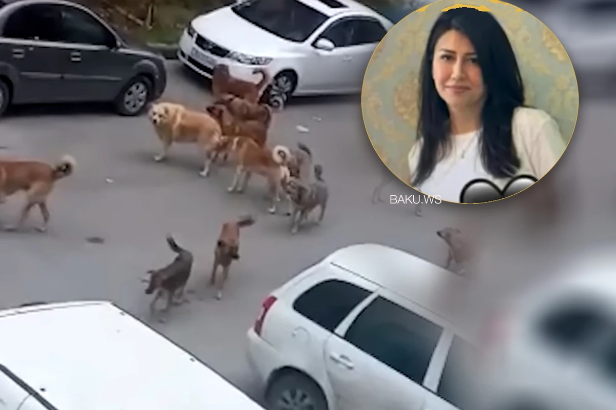 41 yaşlı qadının ölümünə küçə itləri səbəb olub? - VİDEO