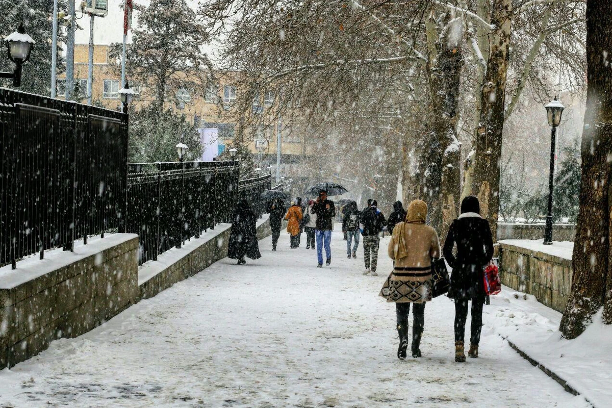 ADPU qarlı hava şəraiti ilə bağlı tələbələrə JEST ETDİ