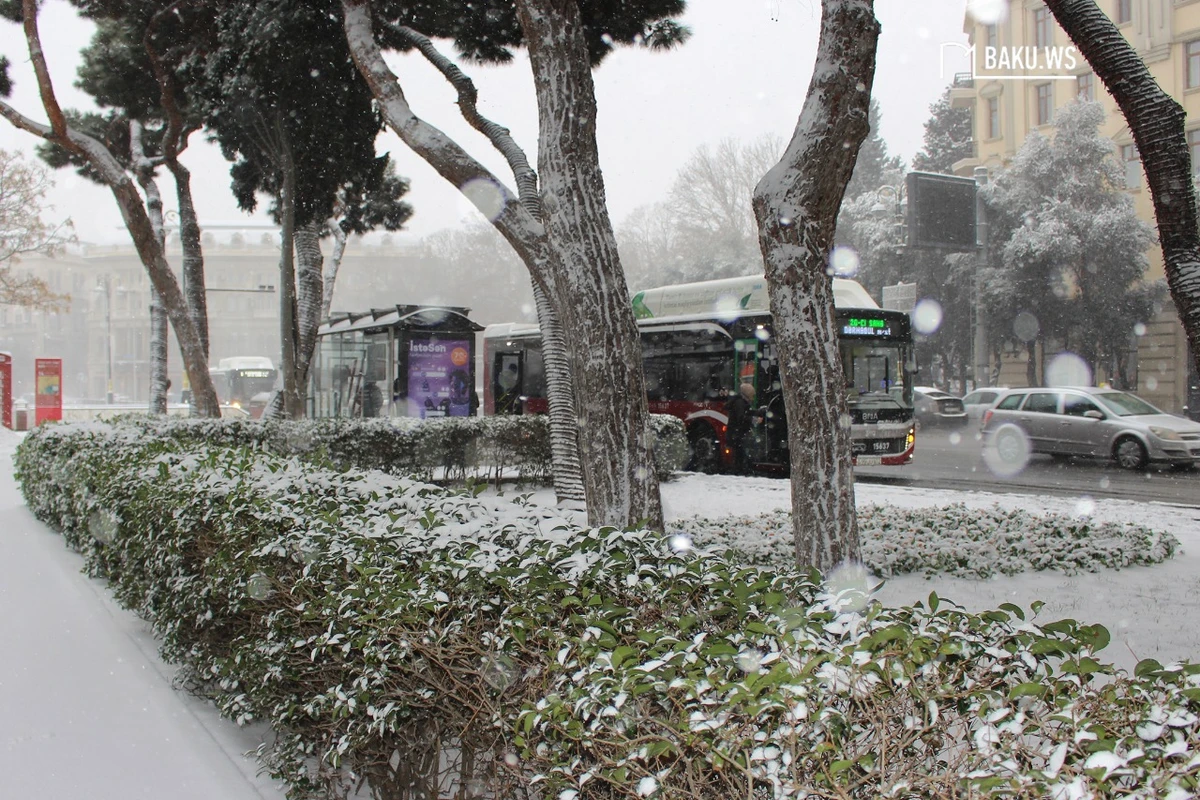 Qarlı hava ilə bağlı valideynlərə MÜRACİƏT EDİLDİ - Övladlarınızı...