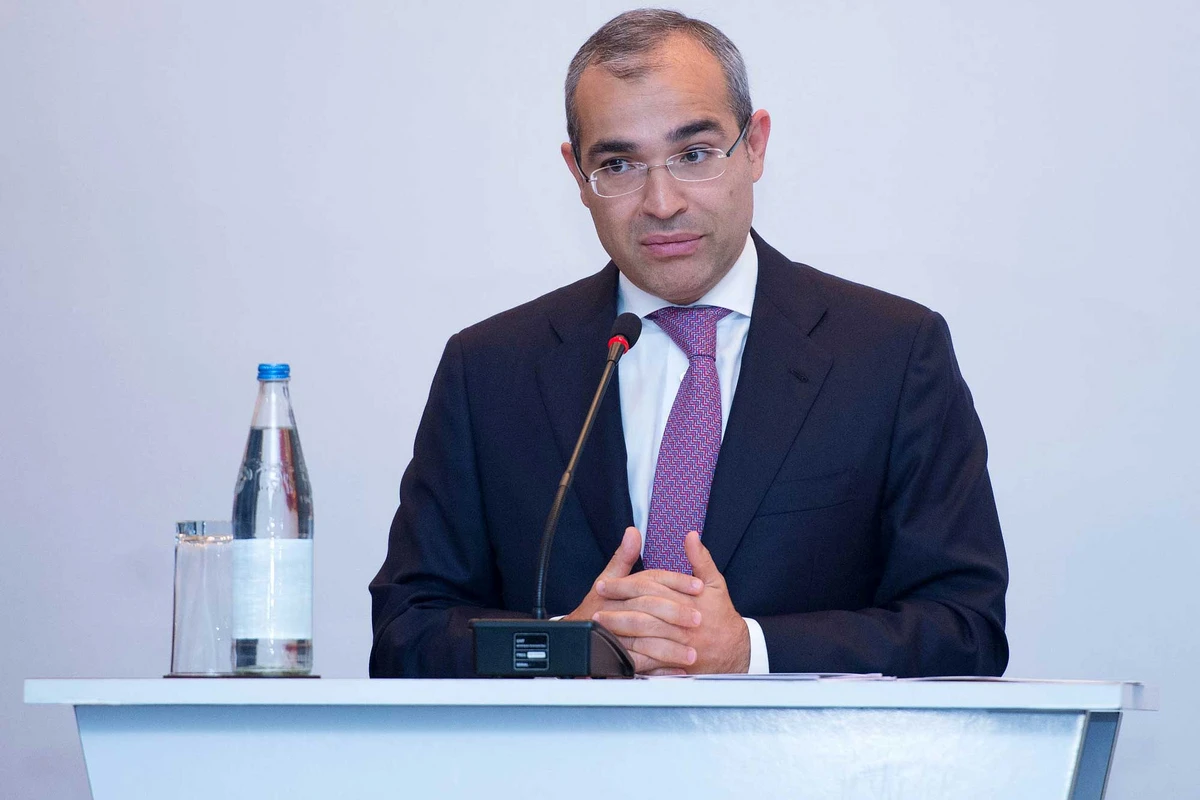 Mikayıl Cabbarov: Pandemiyadan zərər çəkmiş sahibkarlara 41 milyon manat ödənilib - FOTO