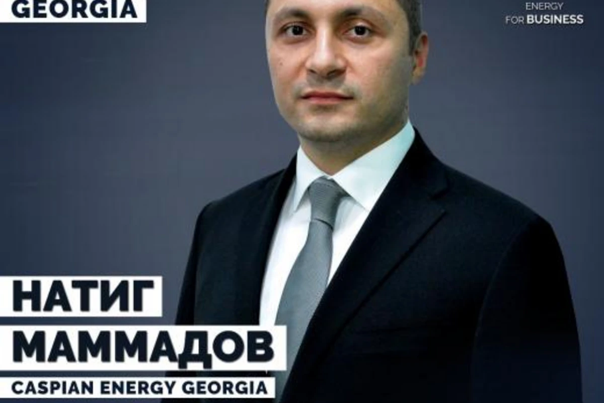Натиг Мамедов назначен председателем Caspian Energy Georgia