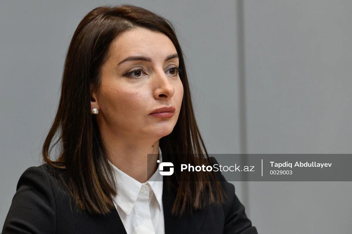 Leyla Abdullayevadan Ermənistana çağırış - FOTO