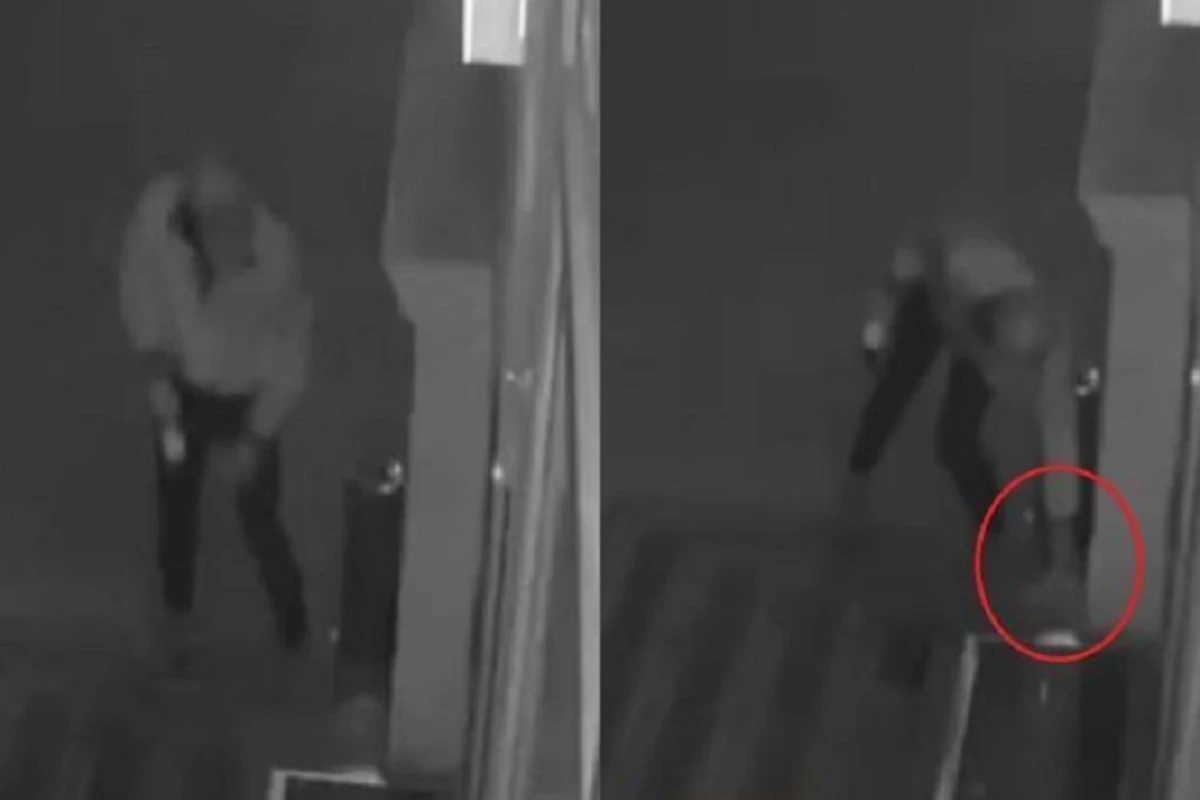 В Баку неизвестный украл миски с едой и водой для животных - ВИДЕО В Баку неизвестный украл миски с едой и водой для животных - ВИДЕО