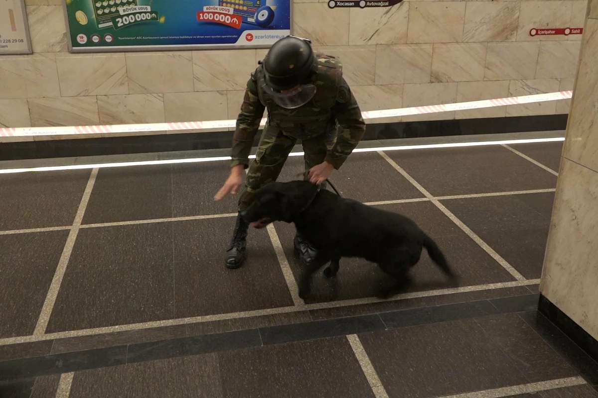 Bakı metrosunda fövqəladə hadisələrlə əlaqəli təlim keçirilib - FOTO/VİDEO Bakı metrosunda fövqəladə hadisələrlə əlaqəli təlim keçirilib - FOTO/VİDEO
