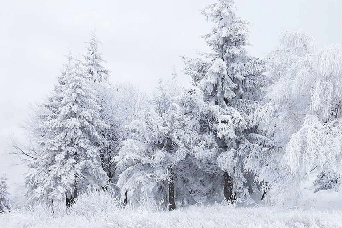 Qar yağacaq, şaxta olacaq, yollar buz bağlayacaq - HAVA PROQNOZU