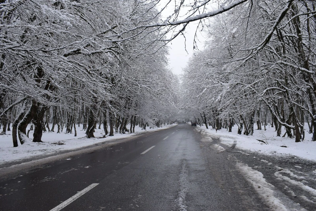Hava XƏBƏRDARLIĞI - Bu tarixdə şaxta olacaq
