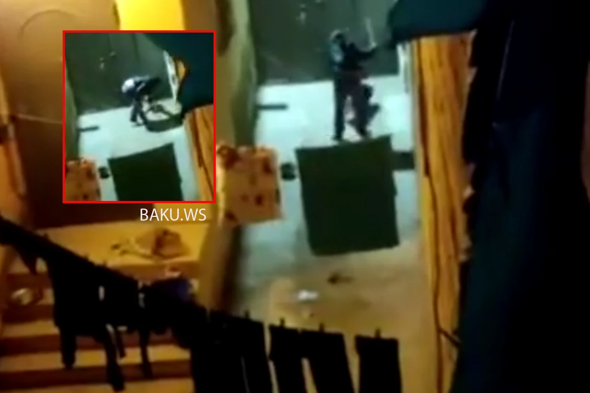 В Баку хозяин-живодер регулярно избивает свою собаку - ВИДЕО