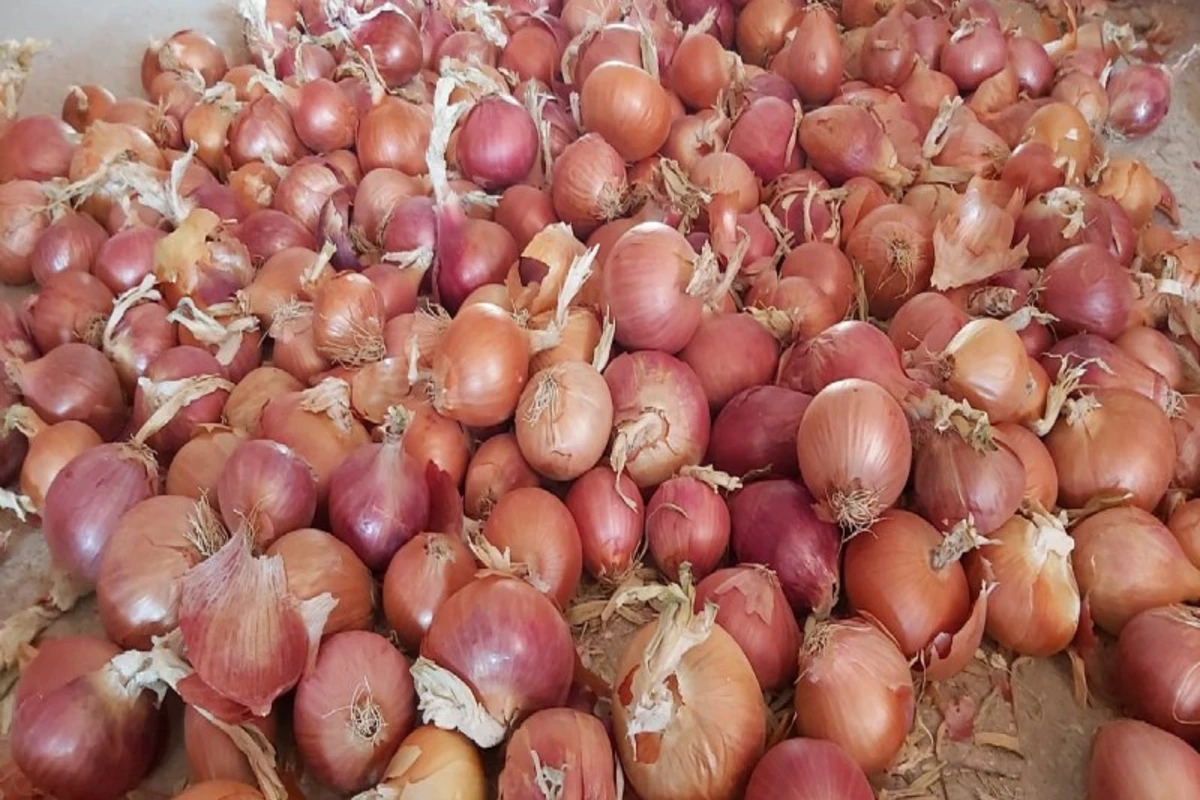 Əli Əsədovdan soğanla bağlı yeni qərar