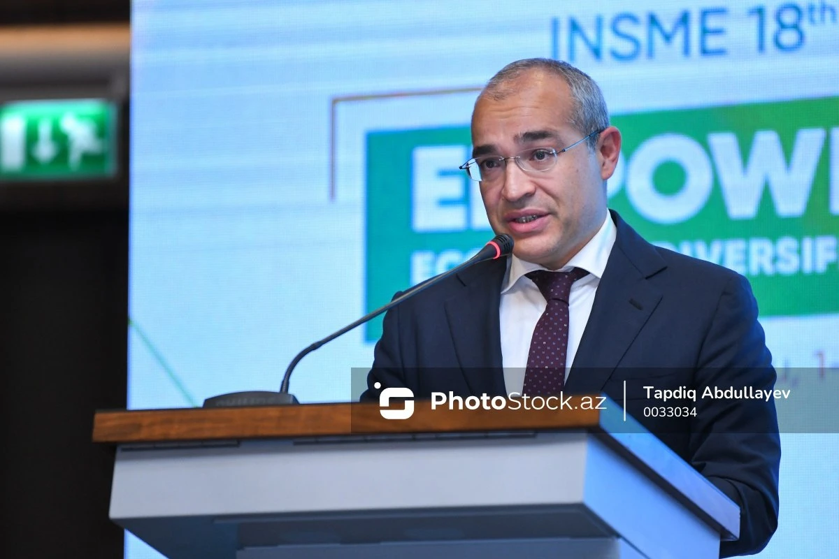 Mikayıl Cabbarov: “Güzəştli kreditlərin 69,7 faizi regionların payına düşür” - FOTO Mikayıl Cabbarov: “Güzəştli kreditlərin 69,7 faizi regionların payına düşür” - FOTO