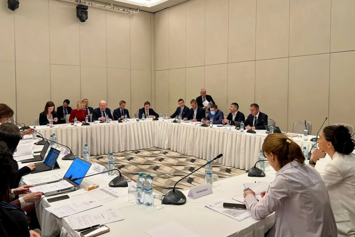 Евронест отклонил подготовленную против Беларуси, Азербайджана и Грузии резолюцию