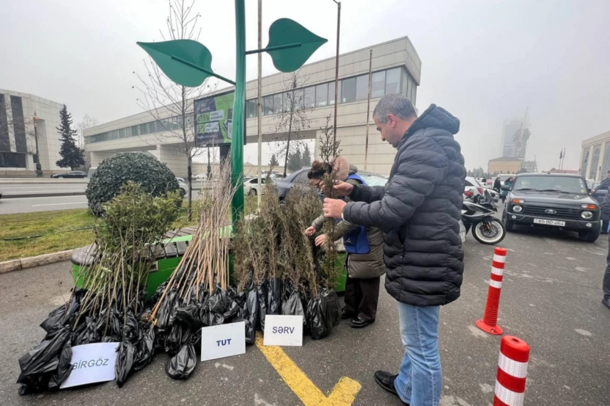 Şüşə, işlənmiş batareya və plastik tullantı təhvil verən vətəndaşlara ağac tingləri paylanılıb - FOTO