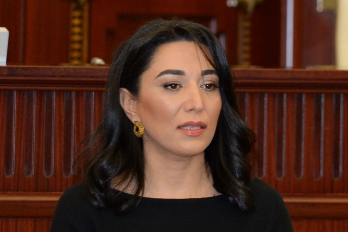 Ombudsman növbəti erməni təxribatına münasibət bildirib