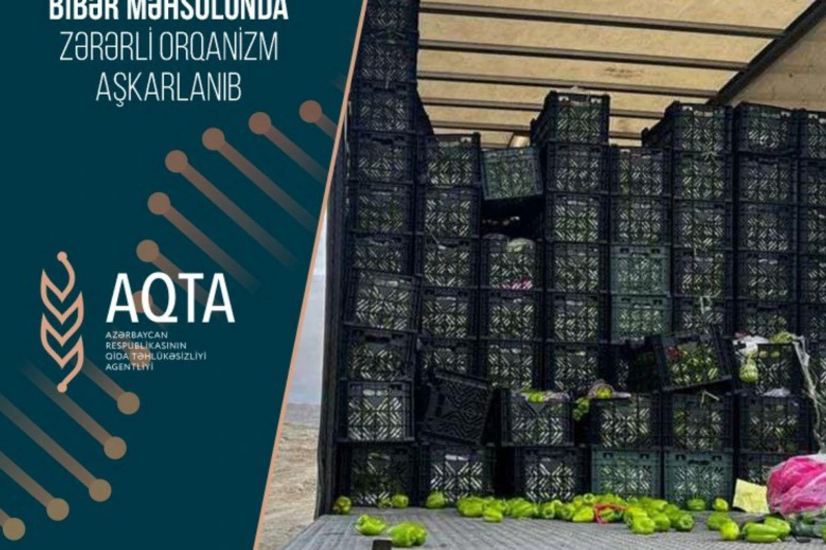 В импортированном в Азербайджан из Ирана перце обнаружен вирус