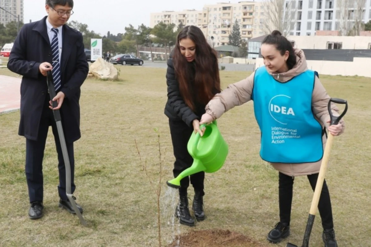 “Yaşıl Marafon 2023” ağacəkmə kampaniyasına start verilib - FOTO