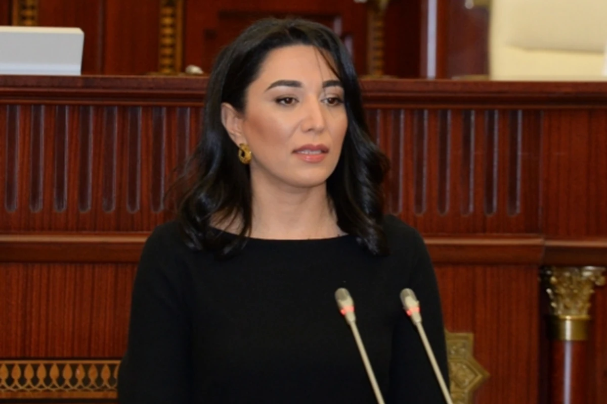 Milli Məclis Ombudsmanın illik məruzəsini qəbul edib - YENİLƏNİB-2