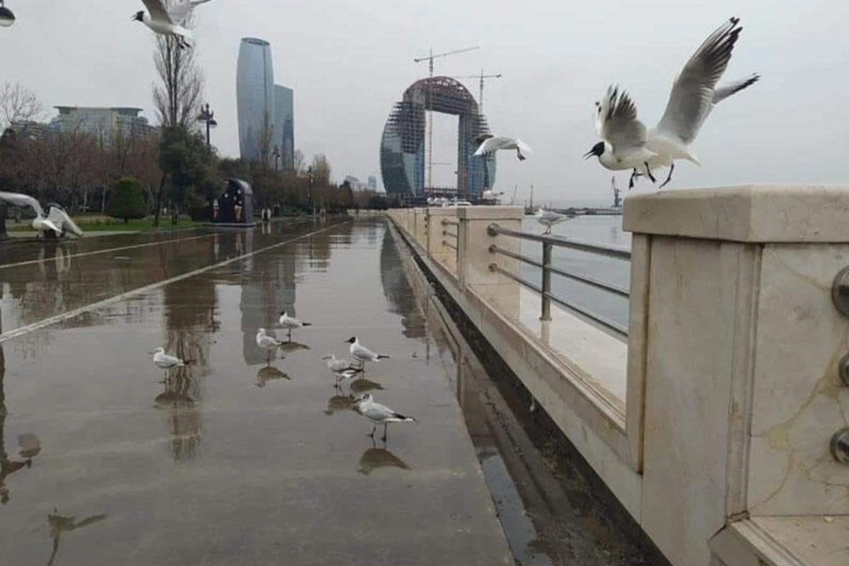 Bakıda bu tarixdə... - HAVA XƏBƏRDARLIĞI
