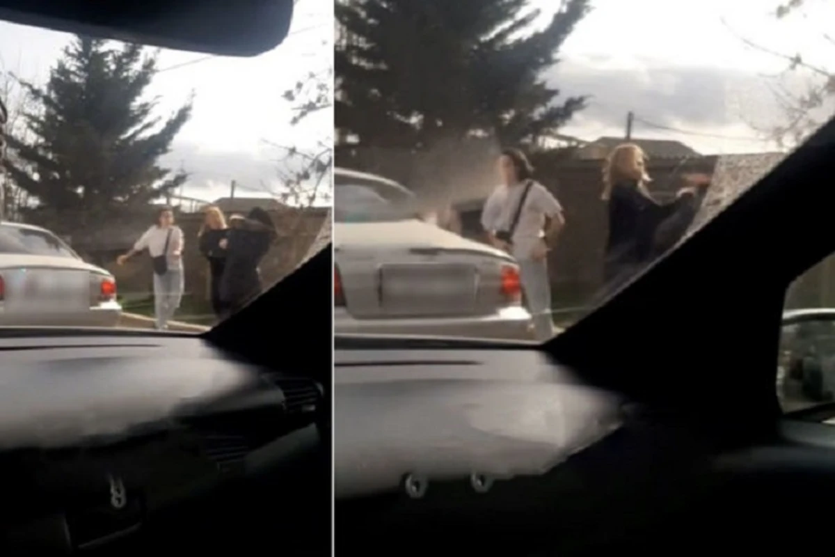 В Азербайджане женщины подрались в праздничный день - ВИДЕО