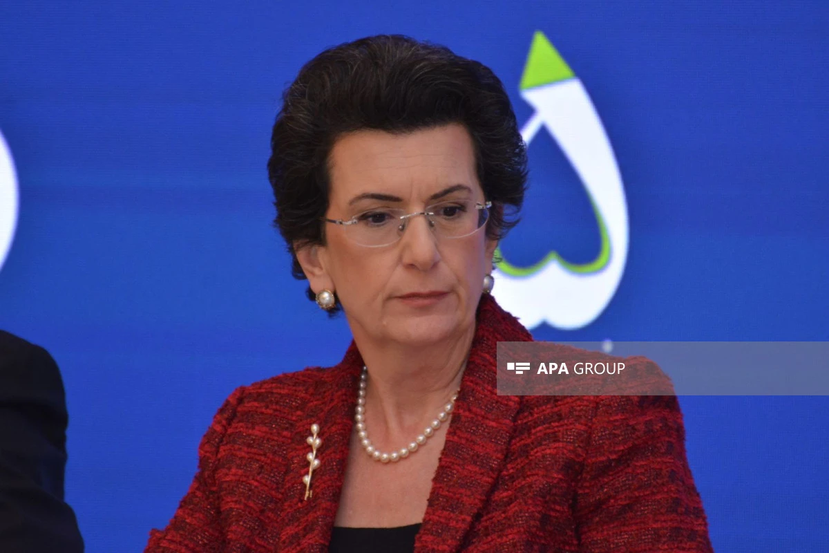 Nino Burcanadze: “Gürcüstan üçün Heydər Əliyev çox şey ifadə edir”