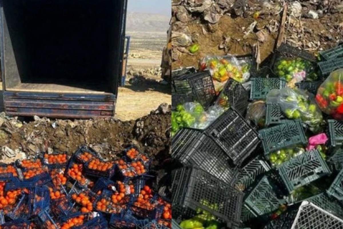 В привезенных из Ирана в Азербайджан продуктах обнаружен вредный организм