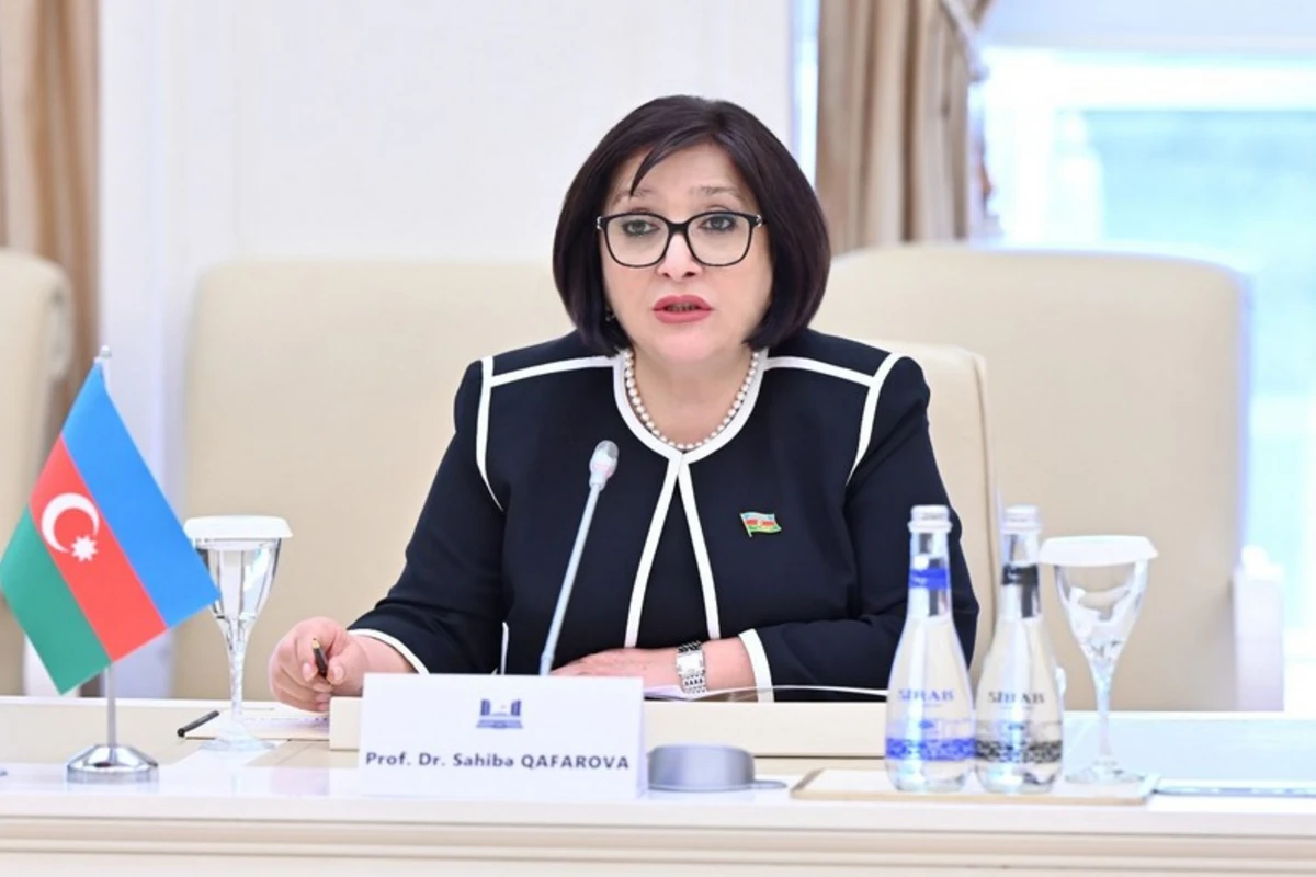 Sahibə Qafarova: Hazırda Cənubi Qafqaz regionunda tamamilə yeni şərait yaranıb