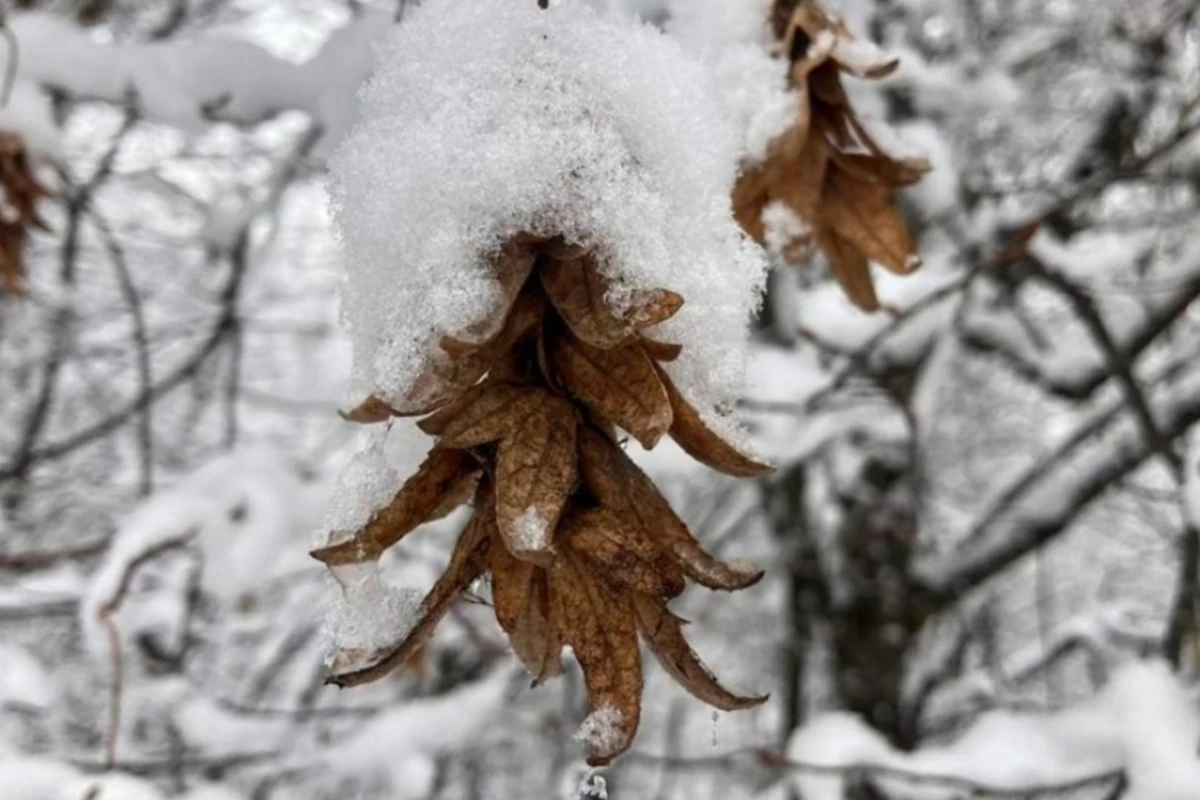 Hava bu tarixdən kəskin dəyişəcək - XƏBƏRDARLIQ