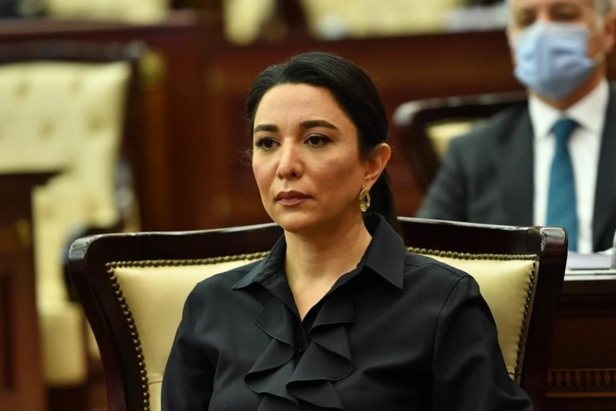 Ombudsman: Ermənistan azad olunmuş ərazilərimizi yenidən minalarla çirkləndirir