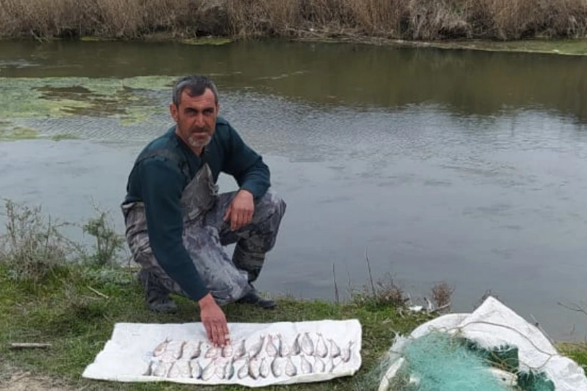 Qanunsuz balıq ovlayan şəxs saxlanıldı - FOTO