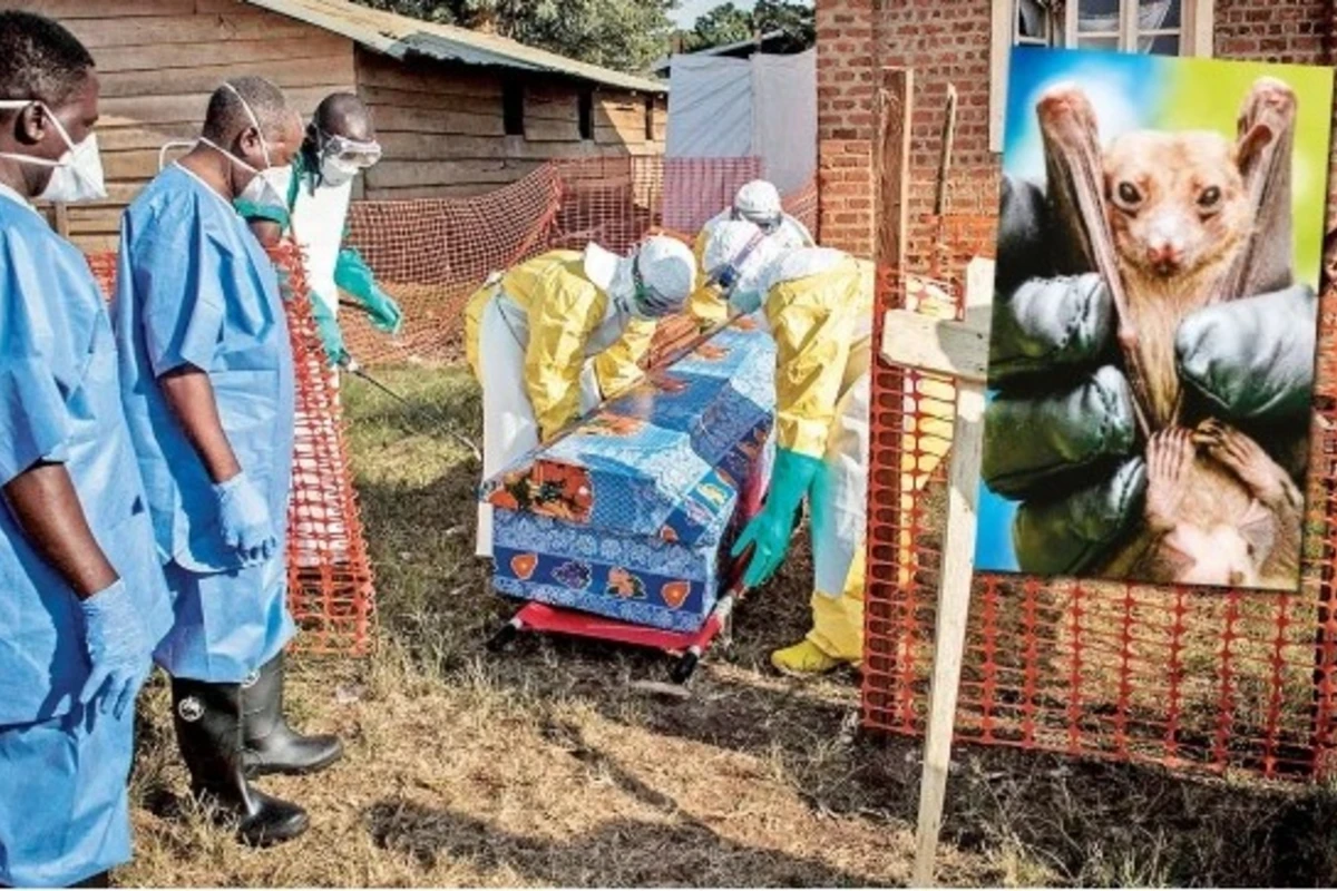 Müalicəsi olmayan virus epidemiyaya çevrildi! - Səkkiz yeni yoluxma