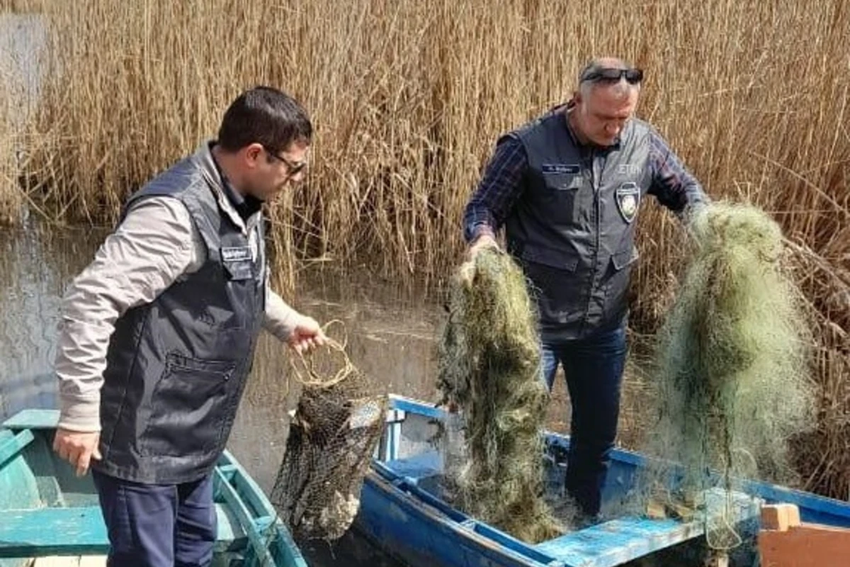 Qanunsuz balıq ovlayanlar saxlanıldı - FOTO Qanunsuz balıq ovlayanlar saxlanıldı - FOTO