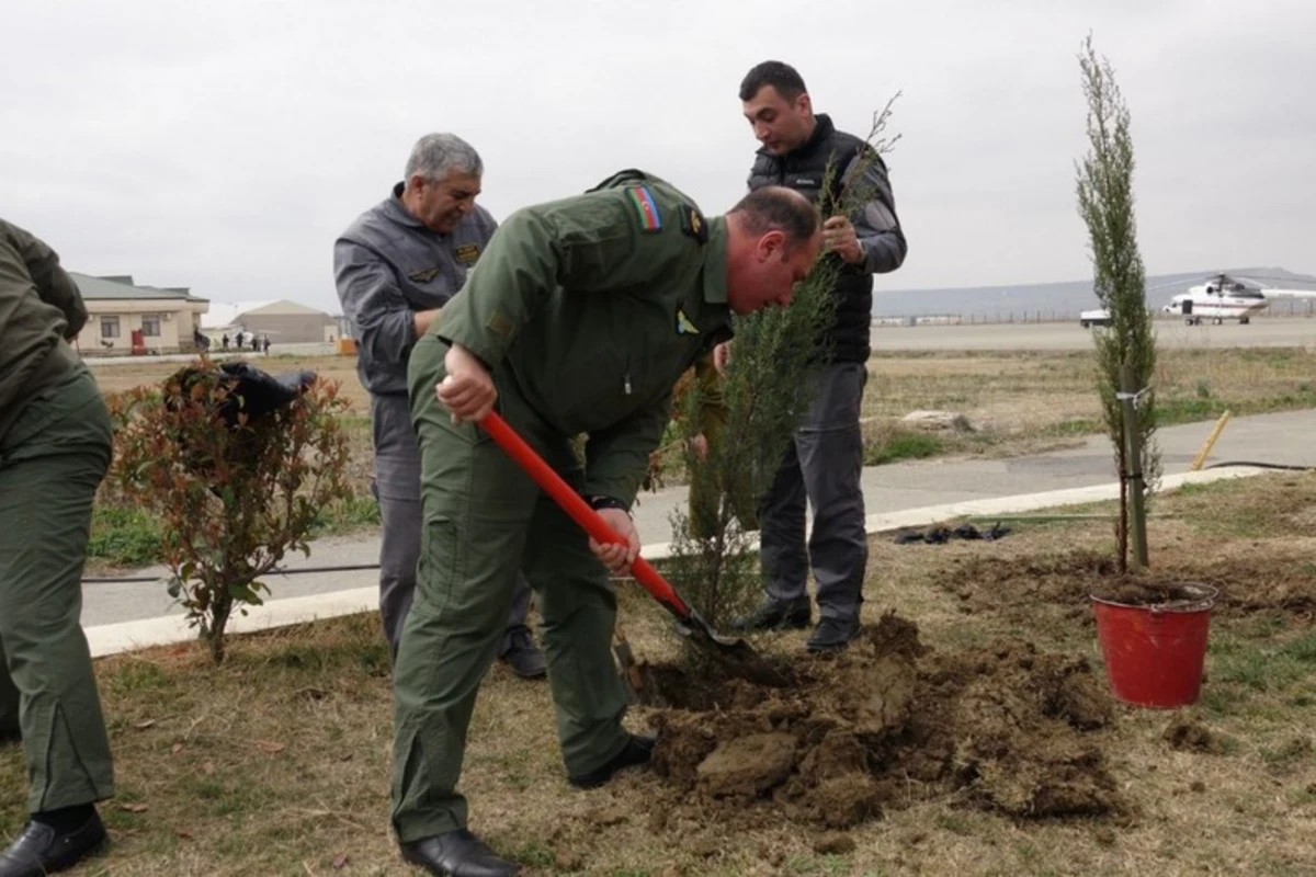FHN-in Aviasiya dəstəsində “Heydər Əliyev İli” çərçivəsində ağacəkmə aksiyası keçirilib - FOTO