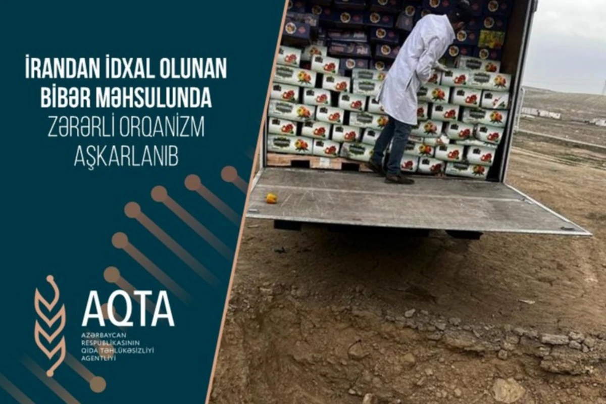 В импортированном из Ирана перце обнаружен вирус