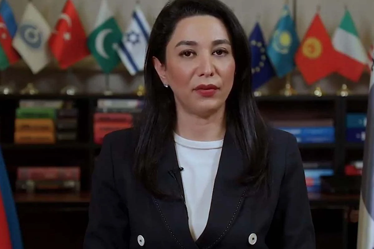Ombudsman beynəlxalq ictimaiyyətə müraciət edib