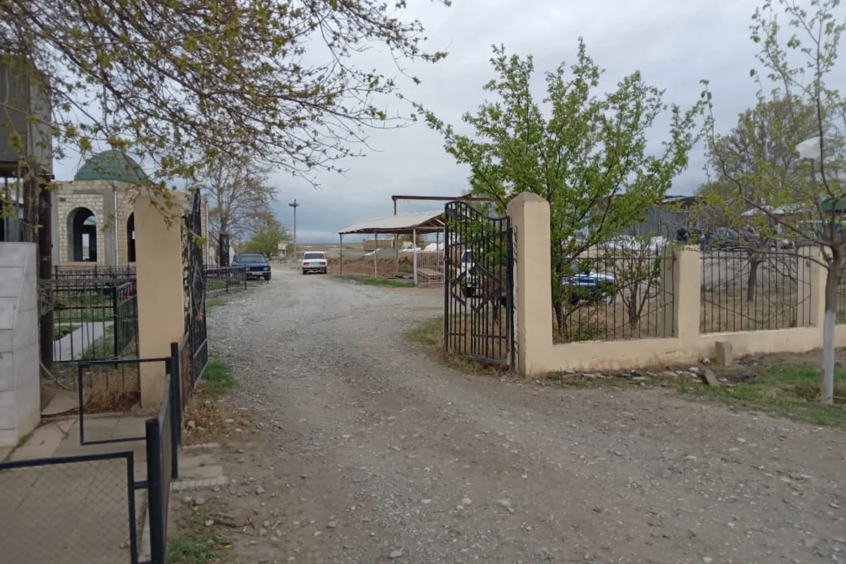 Azərbaycanda güllələnmə - Qəbiristanlığa gəlib... - FOTO