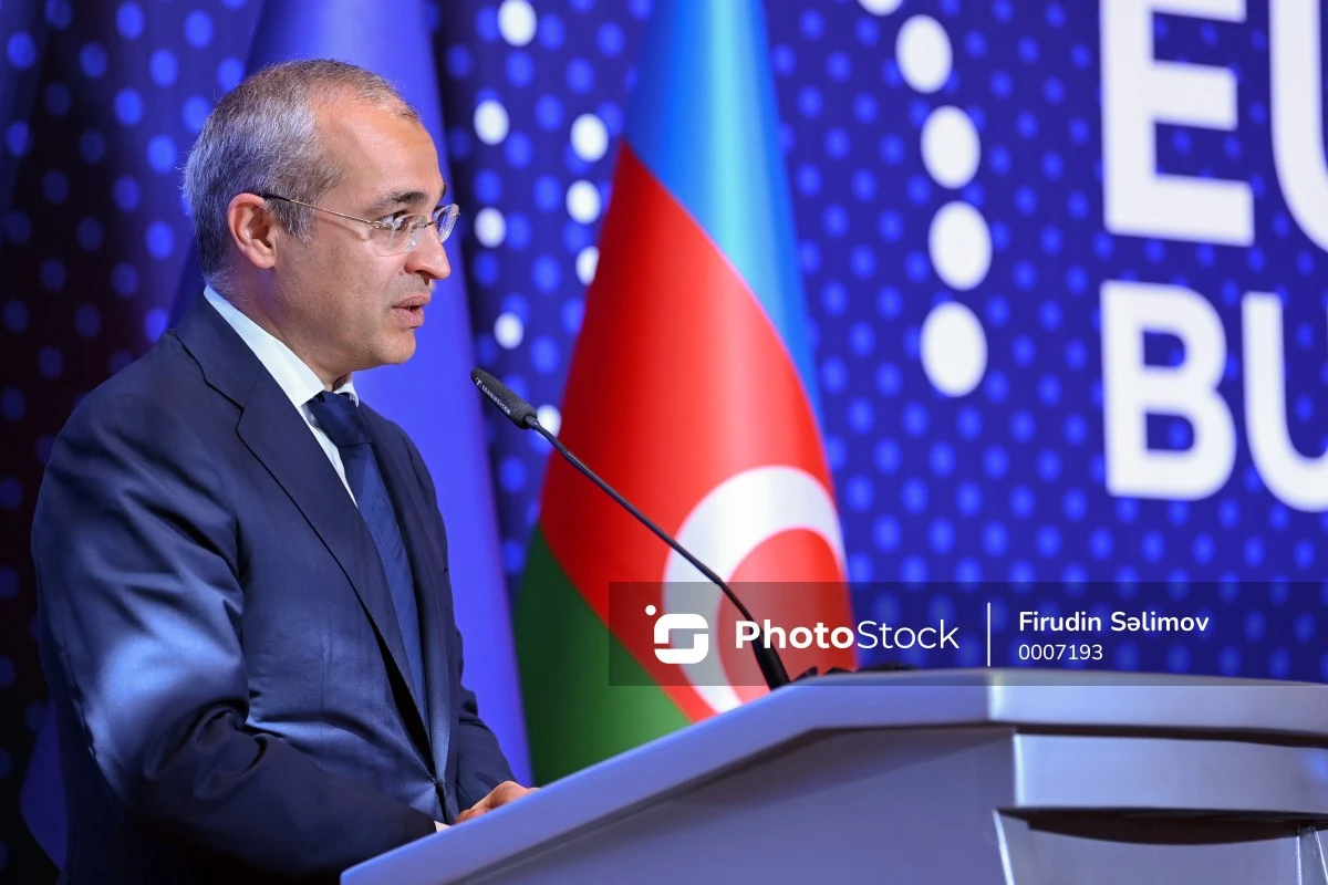 Микаил Джаббаров: Значительный рост налоговых поступлений повышает устойчивость нашей экономики - ФОТО