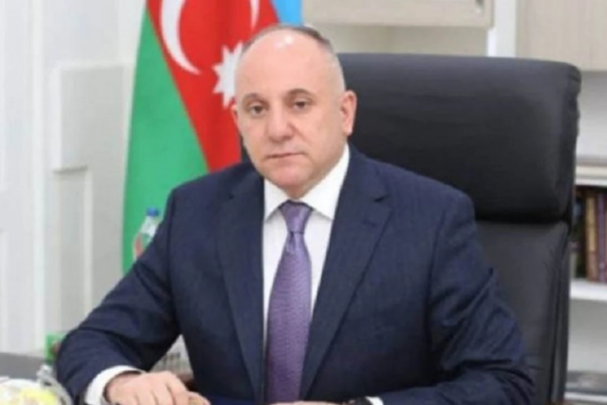 Azər Rəcəbova ağır cəza verildi