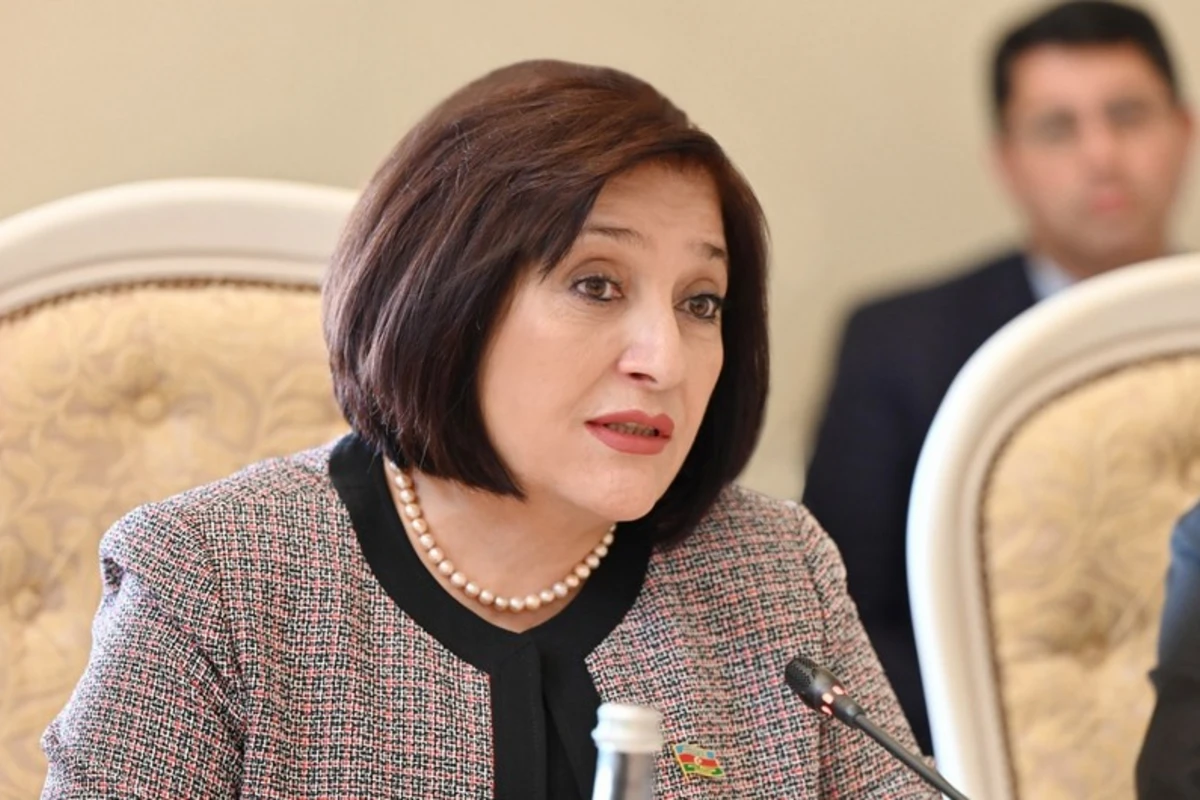 Sahibə Qafarova: Ermənistan Aİ missiyasının bu ölkədə olmasından istifadə edərək hərbi təxribatlara yol verir
