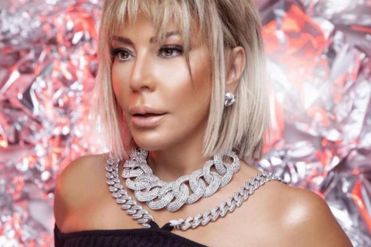 Brilliant Dadaşova: Gücünün yalnız bayrağa çatdığını nümayiş etdirən şərəfsiz... - VİDEO