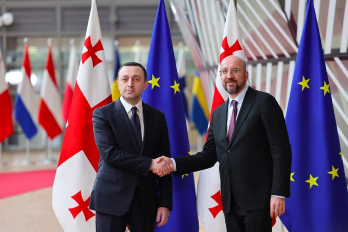 Gürcüstan ilin sonuna kimi Aİ-yə namizəd statusu almağa layiq olduğunu düşünür