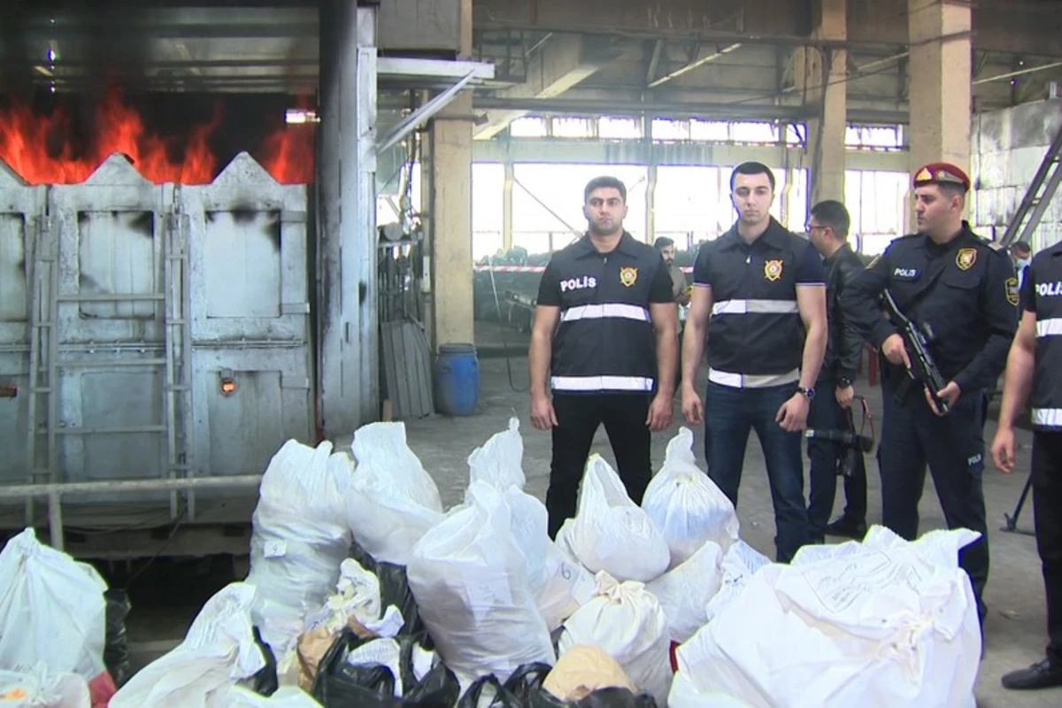Azərbaycanda 3 ton 131 kiloqram narkotik məhv edilib - VİDEO