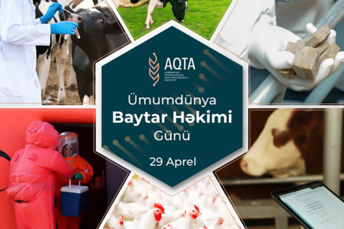Bu gün Beynəlxalq Baytar Həkimi Günüdür - VİDEO
