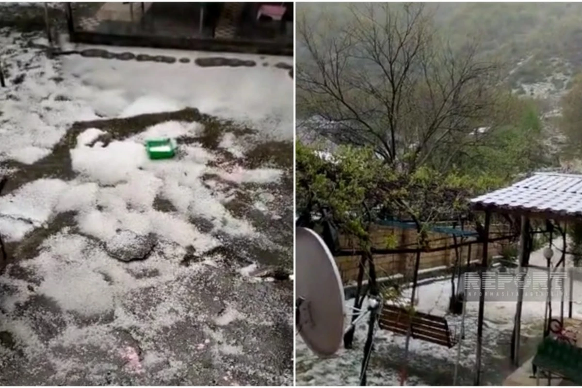 Bu bölgəmizə dolu düşüb, meyvə ağaclarına ziyan dəyib - FOTO