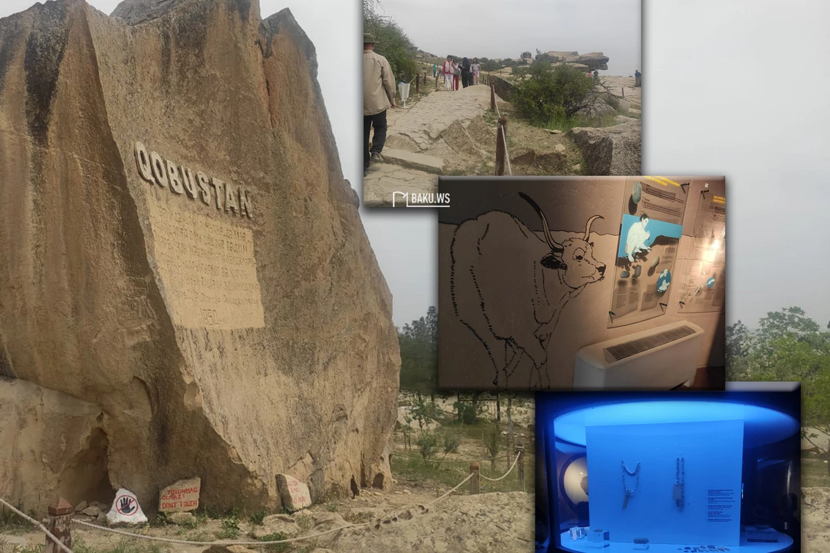 Qobustan Dövlət Tarixi-Bədii Qoruğunda bir gün - REPORTAJ - FOTO/VİDEO