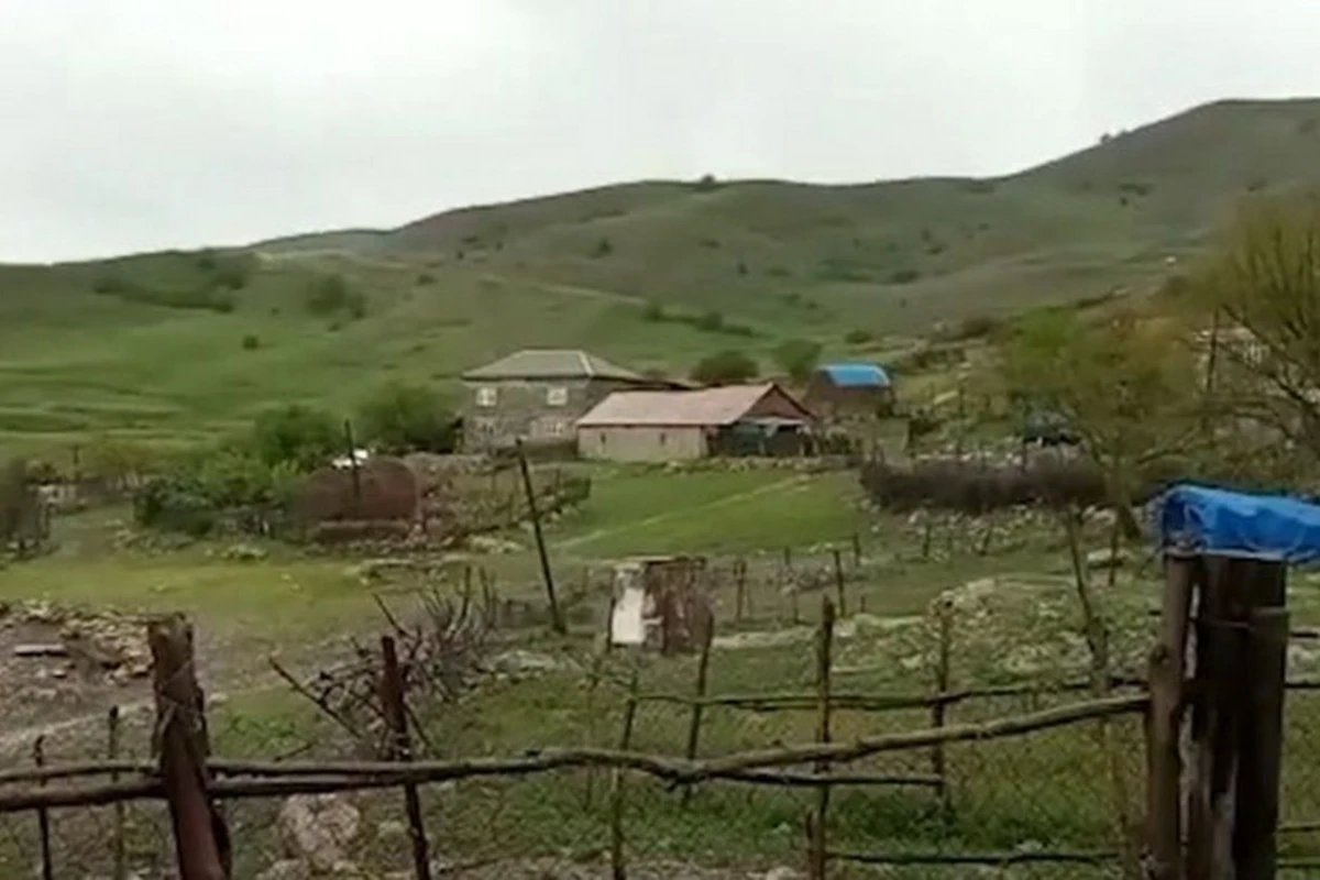 В губинском селе волки напали на стадо овец - ВИДЕО