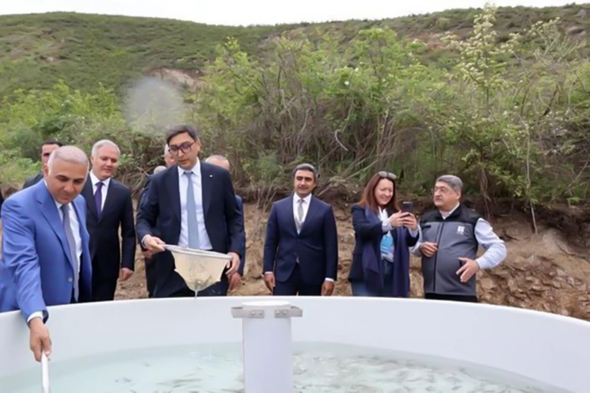 Qarabağ və Şərqi Zəngəzur ərazisində balıq buraxılışları və ağacəkmə tədbiri keçirilib - FOTO Qarabağ və Şərqi Zəngəzur ərazisində balıq buraxılışları və ağacəkmə tədbiri keçirilib - FOTO
