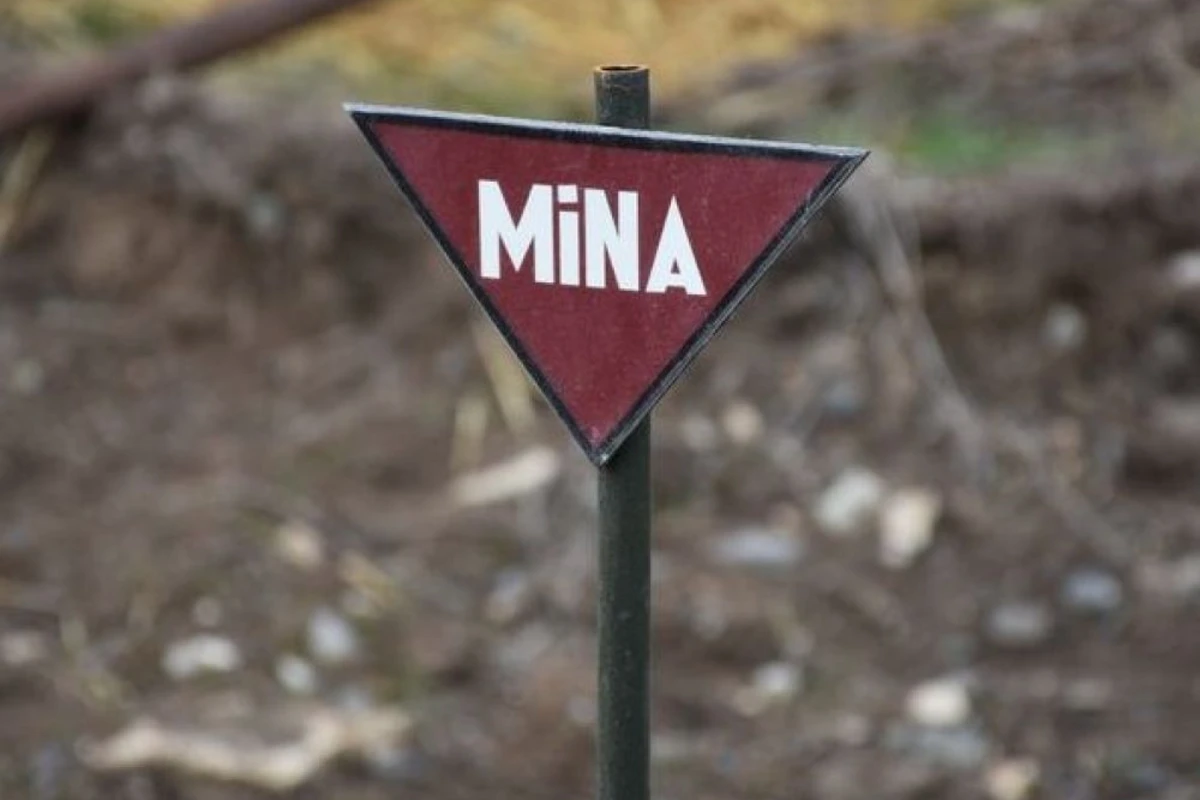 ANAMA minaların daha çox hansı ərazilərə basdırıldığını açıqlayıb ANAMA minaların daha çox hansı ərazilərə basdırıldığını açıqlayıb