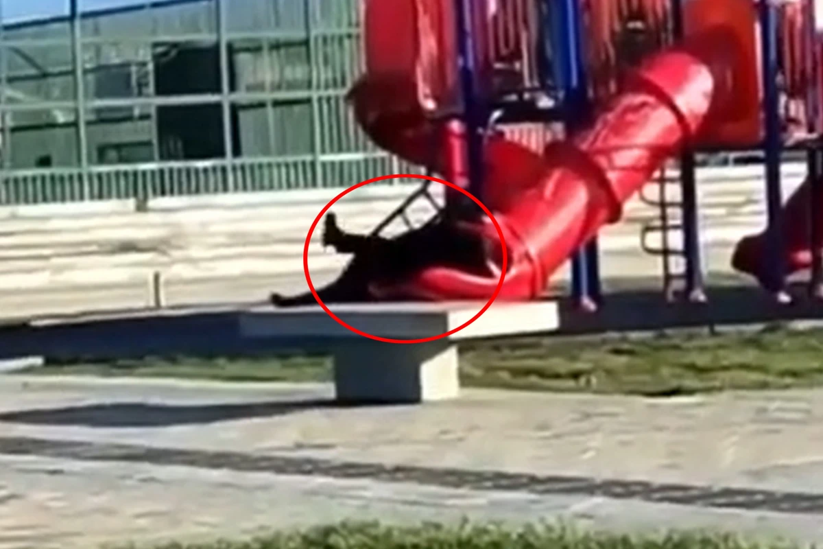 Çili prezidenti sürüşkəndə ilişib qaldı - VİDEO