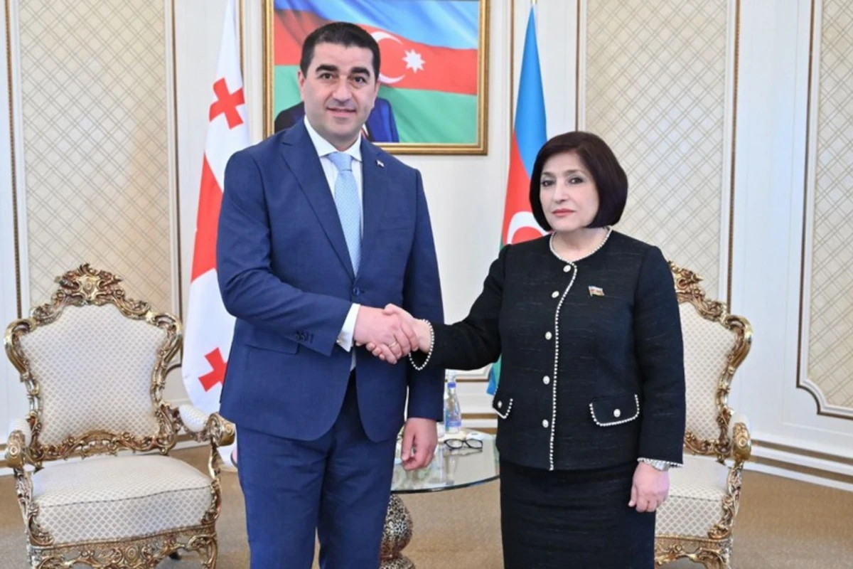 Azərbaycan və Gürcüstan parlamentlərinin sədrləri görüşüb
